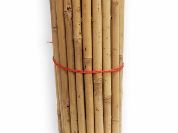 Bordo Ornamentale in Bamboo | Verdemax