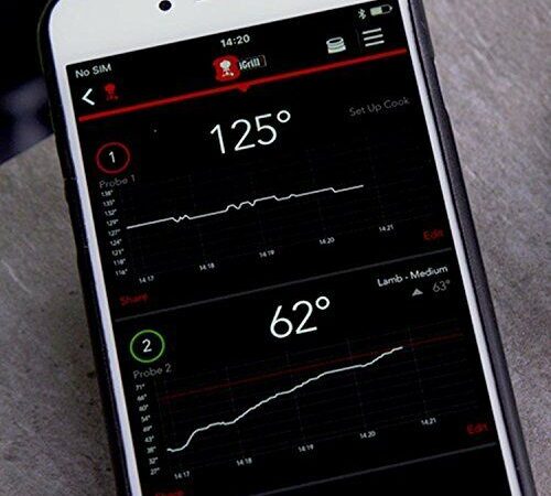 Weber | Termometro Digitale Igrill Mini Barbecue 3