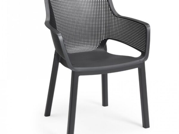 Sedia da Esterno Giardino in Resina Elisa Graphite Keter