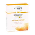 Ricarica Diffusori Auto Antiodore Animali  Maison Berger 5