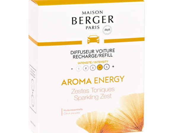 Ricarica Diffusore Auto Aroma Energy 2 Cialde Maison Berger