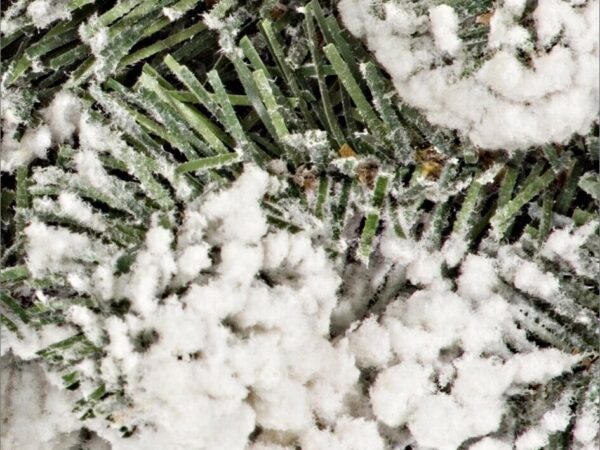 Corona Natalizia Innevata Oregon | Bizzotto 3