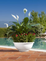 Vaso per Piante Rotondo Interno Esterno Ciotola Elba Idel 14