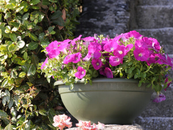 Vaso per Piante Rotondo Interno Esterno Ciotola Elba Idel 3