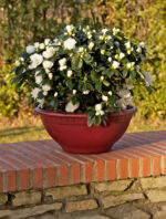 Vaso per Piante Rotondo Interno Esterno Ciotola Elba Idel 13