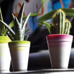 Vaso Living High Round 55 cm + Inner Idel Auto Irrigazione 16