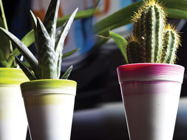 Vaso per Piante Orchidee Fiori Dante Exclusive Idel