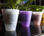 Vaso per Piante Orchidee Trasparente Colorato Dante Look Idel 8