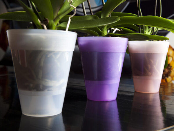 Vaso per Piante Orchidee Trasparente Colorato Dante Look Idel