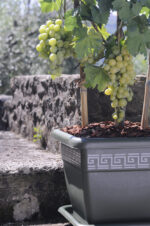 Vaso per Piante Quadrato Interno Esterno Plasticotto Quadro Idel 15