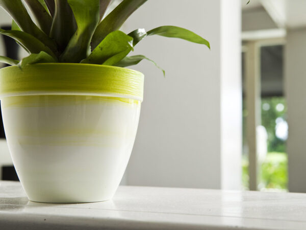 Vaso per Piante Colorato Sfumature Touch Exclusive Idel 3