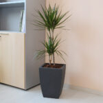 Vaso per Piante da Interno Esterno Arredo Design Hydrus Idel 12