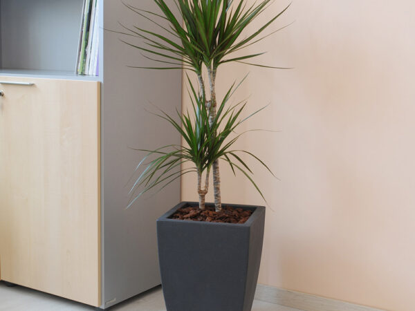 Vaso per Piante da Interno Esterno Arredo Design Hydrus Idel 3