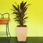 Vaso per Piante da Interno Esterno Arredo Design Hydrus Idel 15