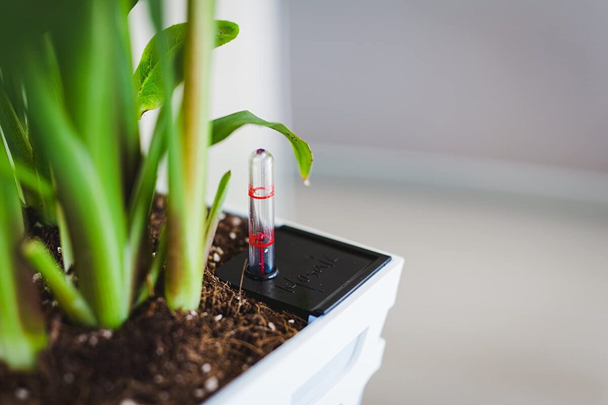 Indicatore Livello Acqua Vasi Mosaic Quadro Flowerbox Water Level 2 6