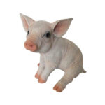 Forno a Legna per Pizza da Esterno 4 Pizze con Base Alfa Forni 9