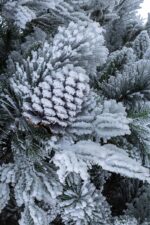 Albero di Natale Innevato con Pigne Arves 7