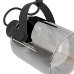 Plafoniera con 2 Faretti in Vetro Nero 40W Berregas Eglo 7