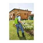 Pompa a Zaino a Batteria Futura Nebulizzatore Piante Pesticidi Verdemax 12