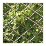 Traliccio Estensibile in Salice per Piante Rampicanti Verdemax 6