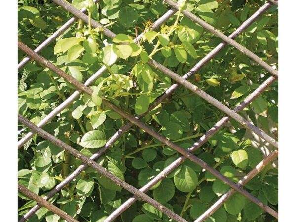 Traliccio Estensibile in Salice per Piante Rampicanti Verdemax 3