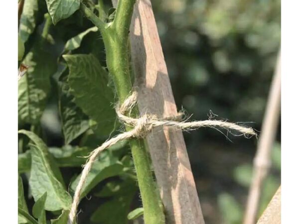 Spago in Juta per Legatura Fiori e Piante Rampicanti Verdemax 3