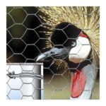 Traliccio Estensibile in Legno Verde per Piante Rampicanti Verdemax 7