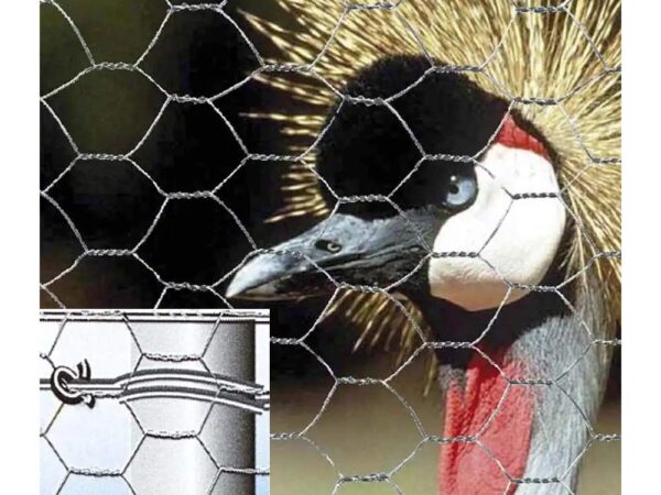 Rete Metallica Esagonale per Gabbie Recinzioni di Animali Zincata Verdemax