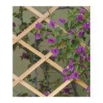 Traliccio Estensibile in Legno per Piante Rampicanti Verdemax 11