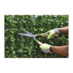 Forbici Tagliasiepi a Lame Diritte con Manico in Legno Verdemax 6