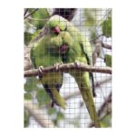 Rete Metallica Zincata a Maglia Quadra 12 x 12 cm Verdemax 8